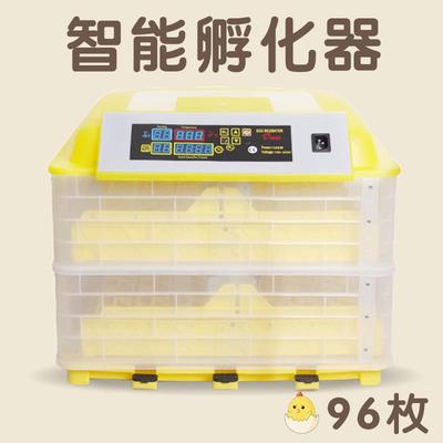 48112枚小型鸽子孵化小鸡孵CNZ蛋器鸡蛋孵化家禽机养殖孵化器-设