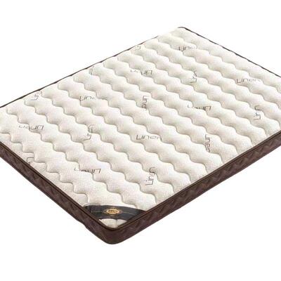 天然8椰棕床垫家用卧室护脊VTW棕乳胶层儿童棕垫1.×2榈榻榻