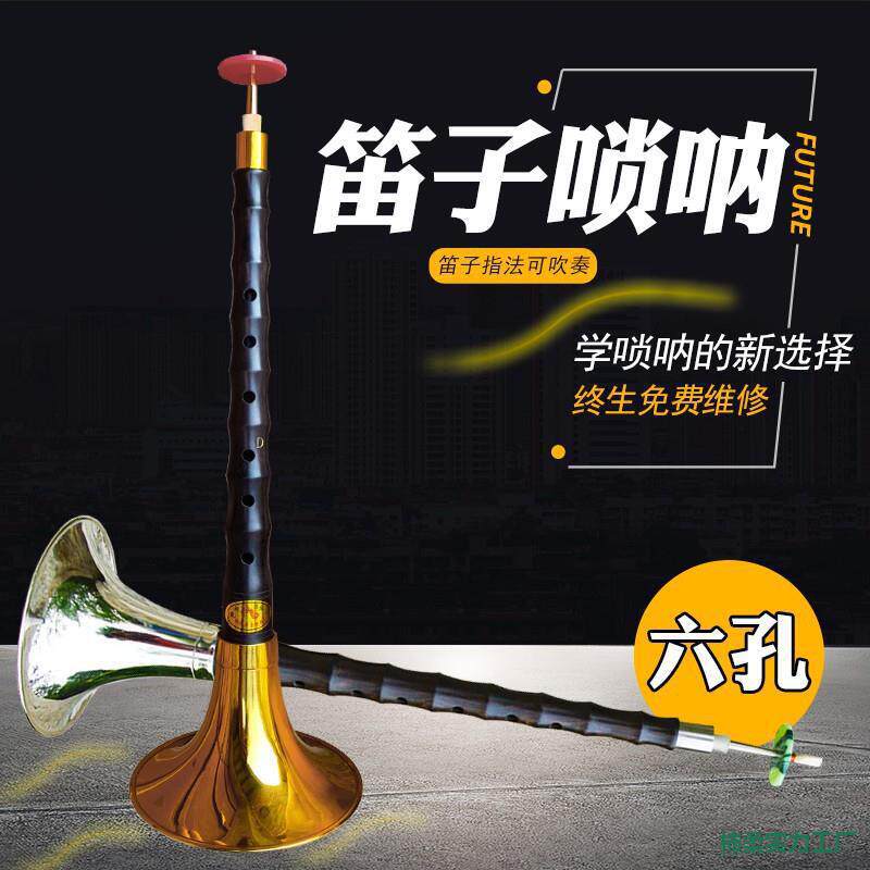 六孔笛子唢呐乐器全套降调孔黑檀乌木成人儿童初学调大中小号