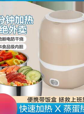 小型电蒸锅学生宿舍多功能迷你蒸汽锅二三四层插电馒头热饭菜家用