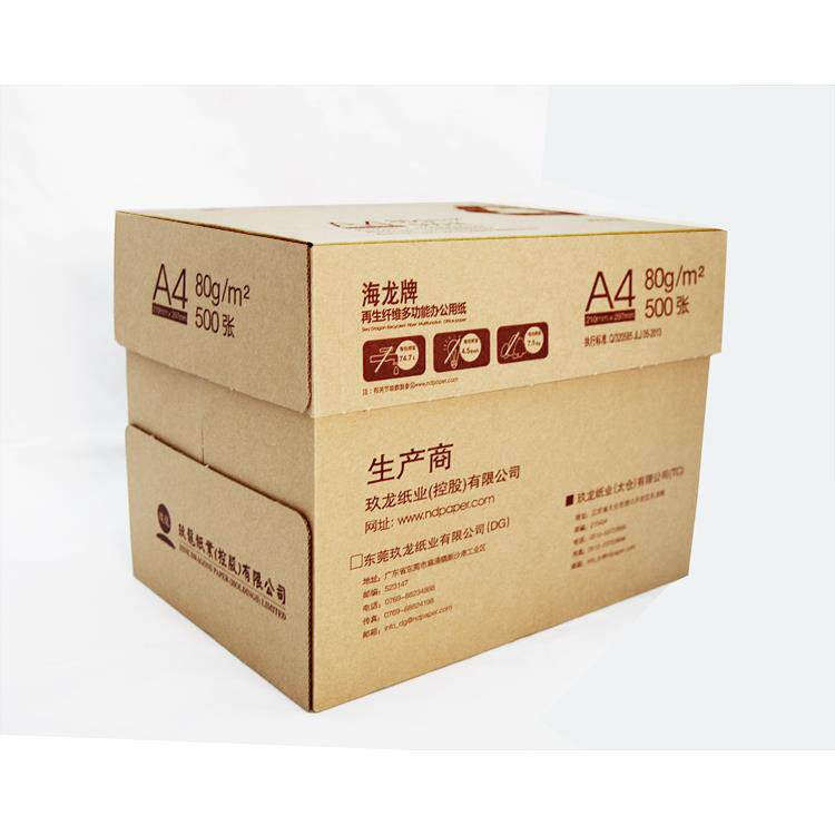 玖龙牌复印纸海龙打印复印纸玖龙A4纸70克80克玖龙纸5包500页整箱