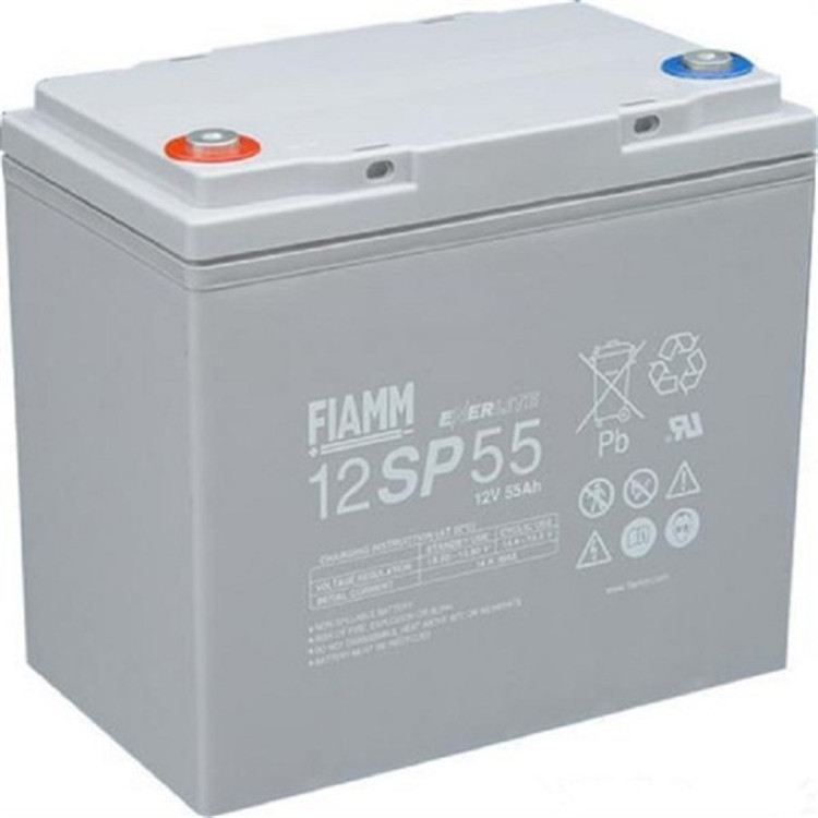 意大利非凡蓄电池12FGL55/12V55Ah通讯电源FIAMM质保三年