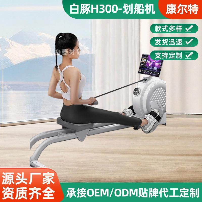 白豚H300-划船机健身全套运动器材小型折叠专业多功能室内练背