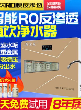 净水器家用直饮厨房自来水井水除垢除味RO反渗透纯水机自吸上门装