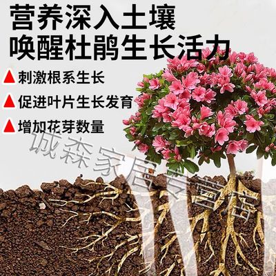 杜鹃花复活液花卉叶斑病专用营养肥强力生根爆催花剂植物通用药水