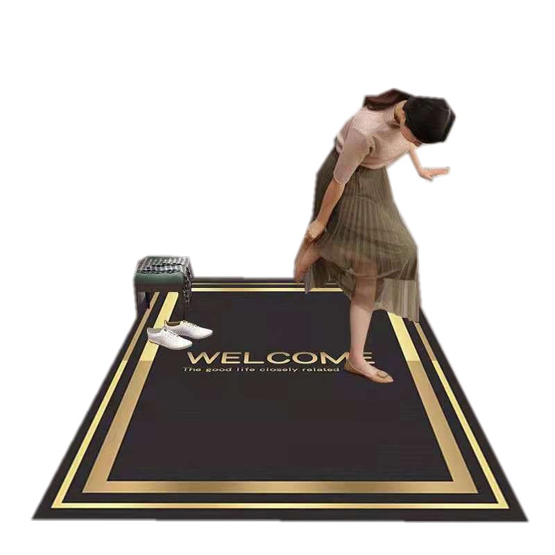 地毯门垫客厅进门口脚踏垫入户门地垫北欧家用防滑家用换鞋垫子