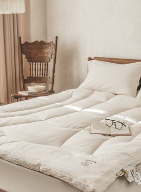 A类超柔软功能性床褥白色褥子床垫软垫子榻榻米薄款垫子铺垫睡垫