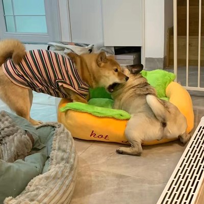 宠物可爱狗窝大号热狗肠汉堡猫咪宠物垫四季通用可拆洗加厚秋冬款