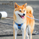 狗狗牵引绳背心式 遛狗绳狗绳子调节小型犬胸背带泰迪可爱宠物用品