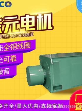 东元电机马达绕线式-半密型-ODP系列高压电机异步YR（卧式）250KW