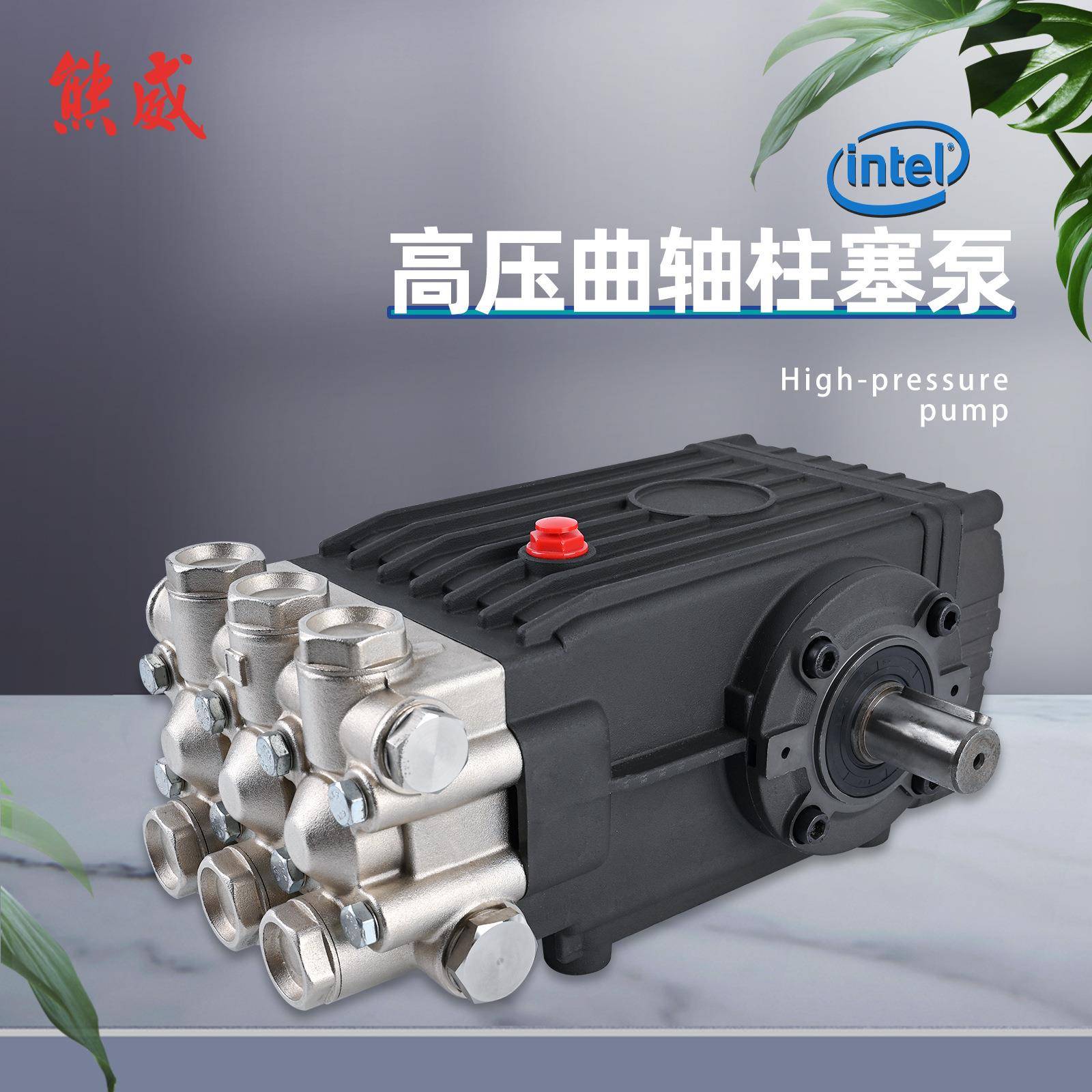 高压清洗机曲轴泵三柱塞铜泵兼容Interpump WS101 102 201 202