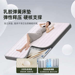 利沃诺高端沙发床折叠两用2025新款翻转单小户型双人床客厅床垫带