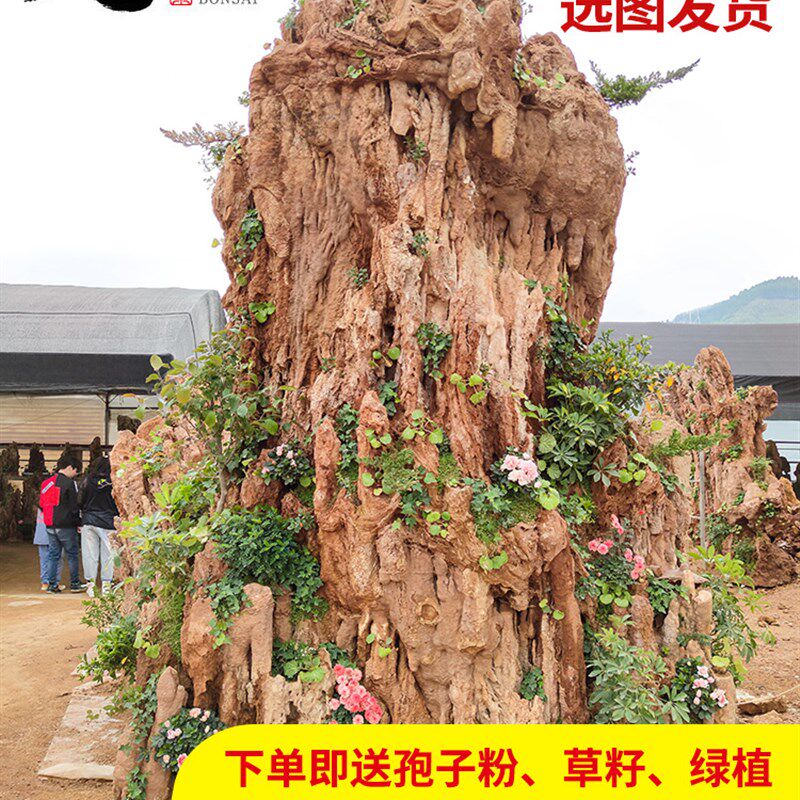 定制特大型吸水石假山盆景天然上水石原石庭院鱼池造景大石头