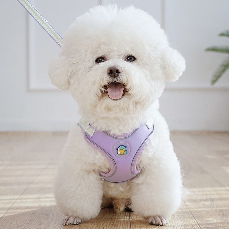 蓬牧狗狗牵引绳小型幼犬宠物背心式胸背带比熊泰迪狗绳链子可调节