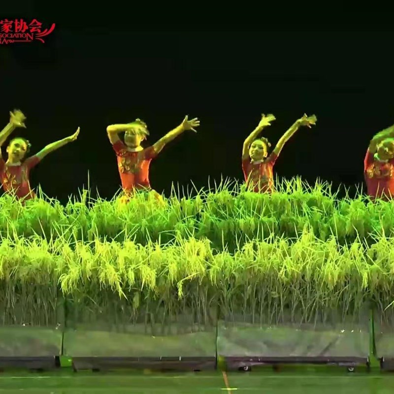 新款第十届小荷风采我们的田野儿童舞蹈表演服装舞台演出服装道具