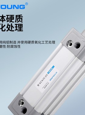 SE63X125-S气动SE63X100-S标准气缸SE63X50-S带磁标准气缸SE63X75