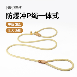 狗狗绳子狗p绳遛狗防爆冲训犬防挣脱遛狗绳子p链大型中型犬牵引绳