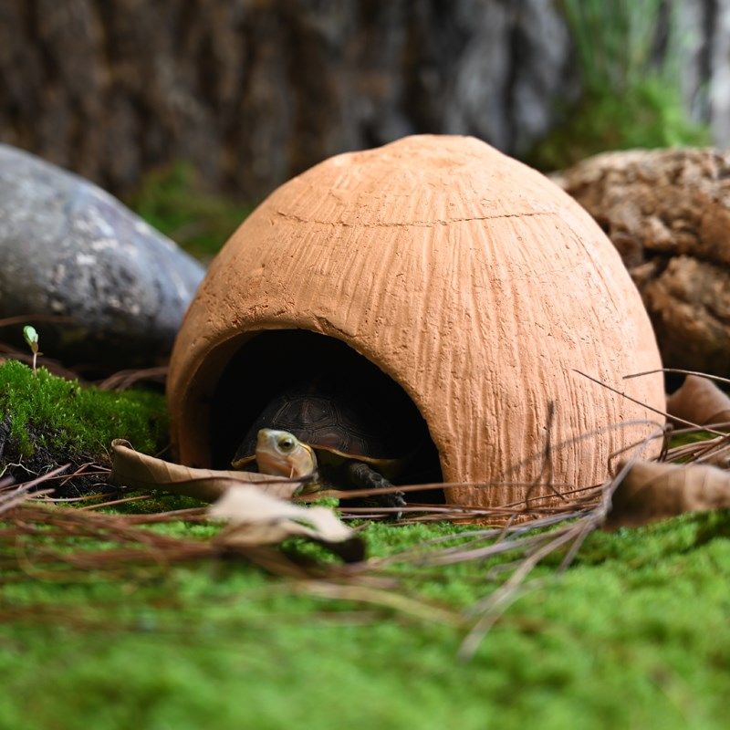黄缘乌龟鱼躲避洞穴红陶加湿瓦片爬宠守宫角蛙寄居蟹躲避屋窝造景,宠物/宠物食品及用品,爬宠躲避/造景,淘宝优惠券,粉丝福利购,淘宝优惠卷