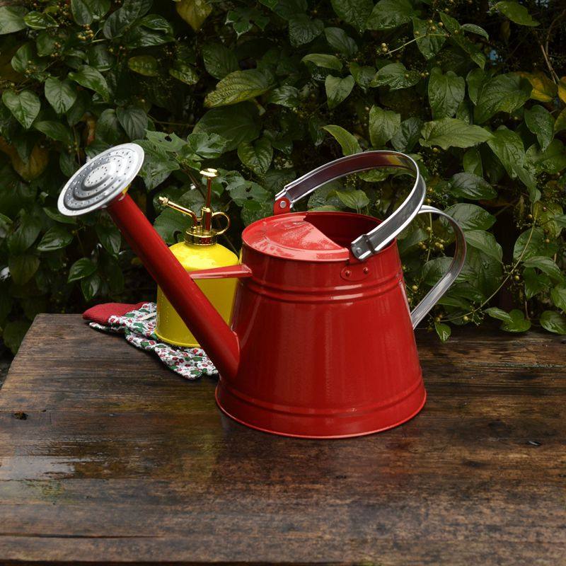 洒水壶浇花壶出口家居热销双色淋花活动喷头浇水壶两用款长嘴喷壶