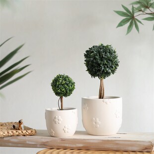 创意雕刻花朵树叶素烧花盆陶瓷家用白陶土透气吸水种植蝴蝶兰多肉