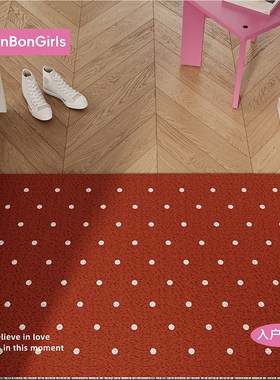 法式新年红色入户门地垫丝圈防滑耐脏门口门外进门脚垫可裁剪地毯