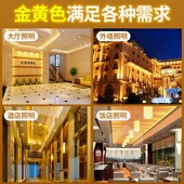 暖光灯带条家装 户外亮化防水220V暖白光led灯条客厅吊顶暖黄线灯