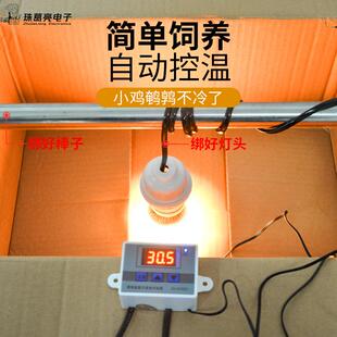 小鸡育雏保温箱鸡用取暖灯泡养殖加热控温小型家用鹌鹑雏鸟发热灯