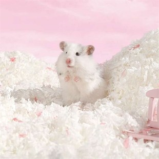 卡诺宠物仓鼠纸棉垫料木屑金丝熊造景除臭刨花纸粒用品