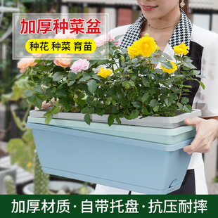 长条花盆种菜种植槽窗台盆栽多肉阳台园艺塑料草莓室内蔬菜种植箱