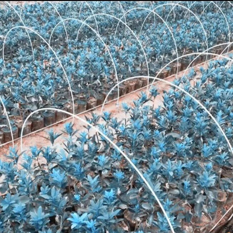 50支优惠拍5-20mm玻璃纤维杆 小拱棚杆 面杆 农用支架