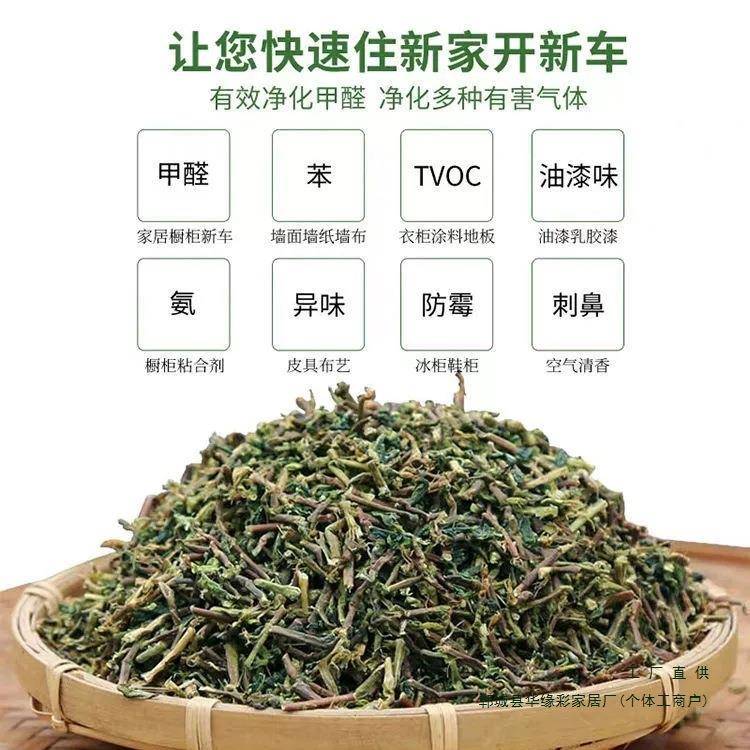 铁观音当季新茶梗枝叶去除甲醛吸异味装修家用新房车散装十斤