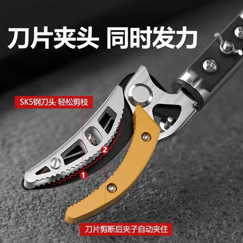 树枝剪伸缩摘果剪刀高空摘枇杷采摘器摘荔枝摘果神器高枝剪