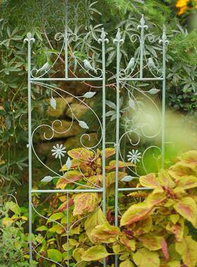 欧做F76MS75M旧铁艺架外爬藤式子花支架户庭院植物攀爬花盆小栅栏