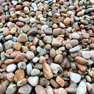 河卵石用544变压器5 8厘米鹅鹅卵石水处理河卵石园林铺路景鹅观卵