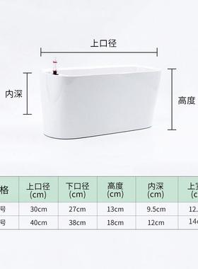 台窗花盆懒自动吸阳台塑料烤漆水养花白RJY人掌一帆风顺长条花盆