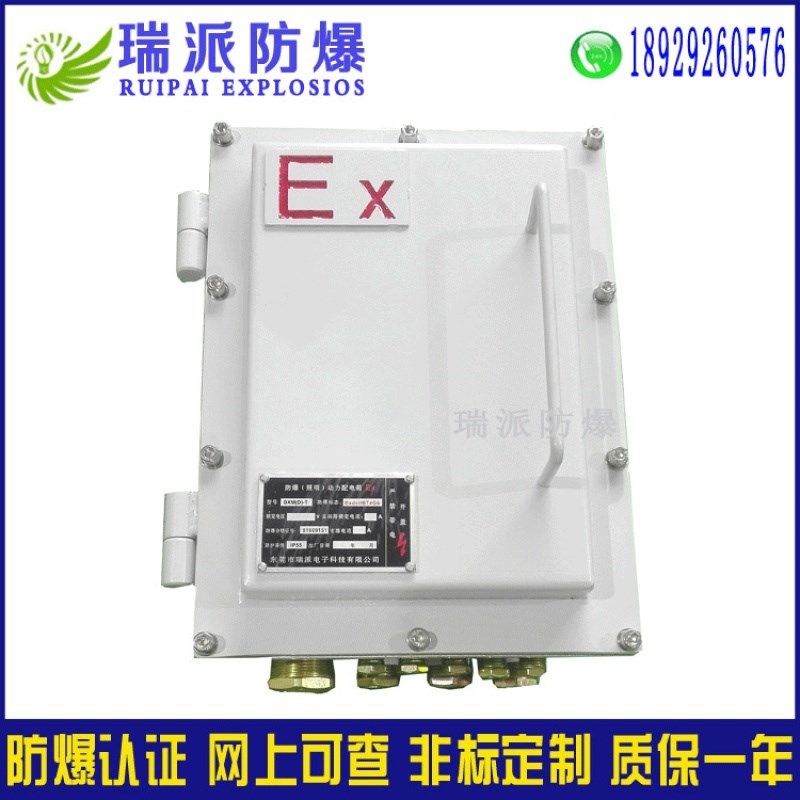 广东防爆电箱 定制防水防爆防腐照明配电箱配电柜 低压成套配电箱