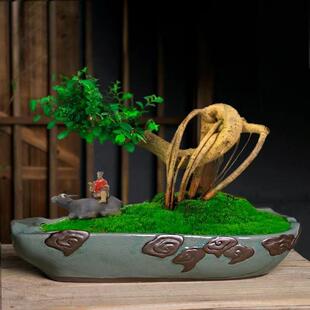 陶瓷花盆创意组合文竹盆栽客厅桌面中国风紫砂透气绿植拼盘哥窑盆