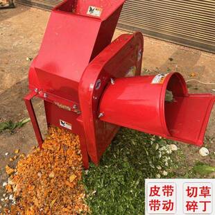 不锈钢切草切丁组合机家用小型220v瓜果切丁机鸡鸭打猪草机剁草机