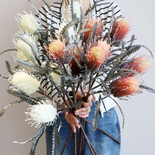 仿真花蓟花谷穗麦穗干花稻穗摄影道具家居装饰陈设插花器花束摆件