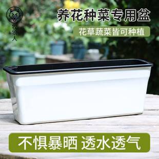 8Bsa+o/y阳台植种菜盆长方形种葱蔬菜种箱超窗沿边花透明盆懒窄人