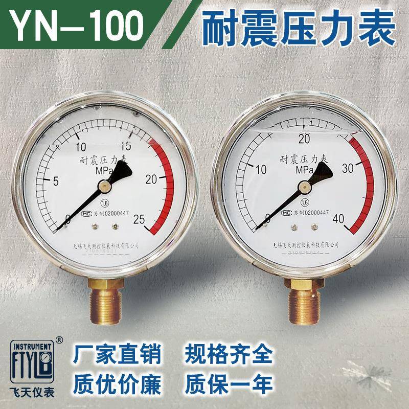 无锡飞天FTYN100YL直销YN1B0I01.6MPa径向油冲油液压抗振耐震压压