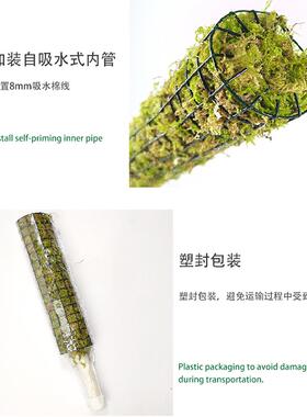 撑攀爬植物支杆藓棒爬藤柱苔JHW龟背竹海芋秋棠白锦海绿萝青苔柱