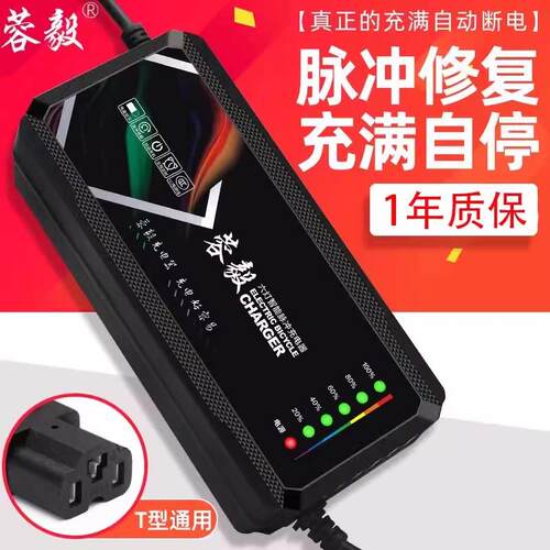 适用于 于金彭电动车电瓶充电器48V12ah20AH60V72V30A40a50a电动