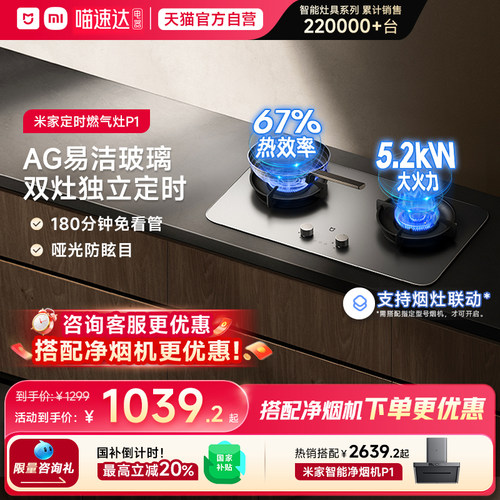 <咨询有优惠>P1定时灶