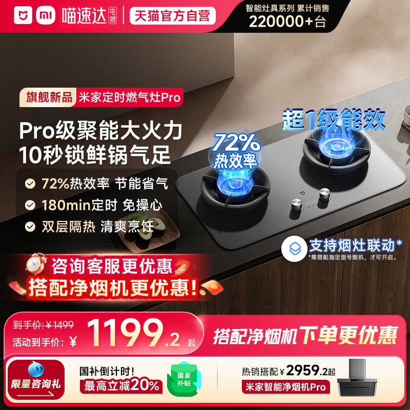 С׼ҶʱȼProһȻú05 1199.2Ԫ