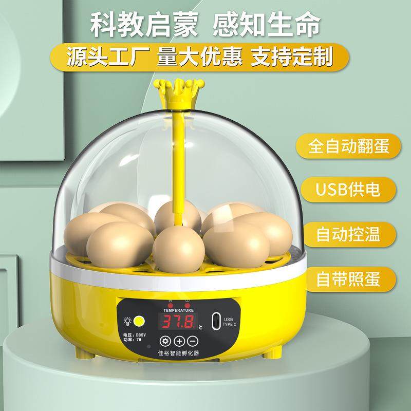 孵器小鸡养殖设备孵RKU化器小蛋型家儿孵化机迷你童用全自动孵蛋