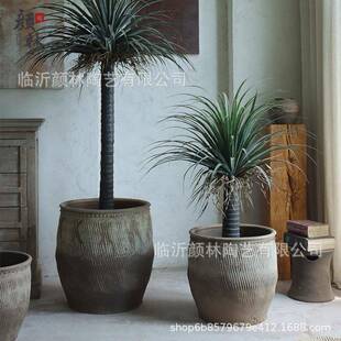 大口径莲土陶缸院鱼缸睡缸花植物栽种缸复古装饰盆大缸庭生JUD态