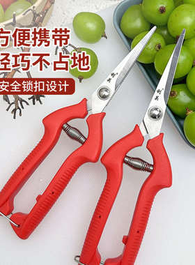 果蔬专用剪修剪葡萄枝果子蔬果关树枝小剪修剪刀荔枝花摘取牌利剪