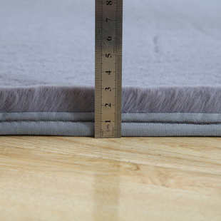 简约家用仿兔绒客厅地毯卧室垫茶几大毯地毯前飘床床边窗房间定制