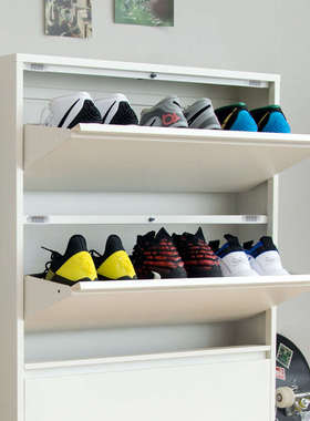 信工全屋钢制超薄柜翻斗升级可鞋玄关鞋柜门口码15cm45放静音家用